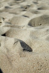 Fototapeta na wymiar Sand on the beach in summer close-up