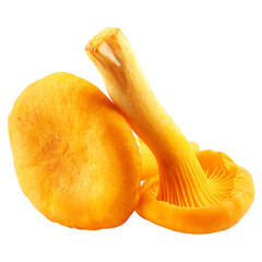 mushroom Chanterelle isolated on white background, clipping path, full depth of field