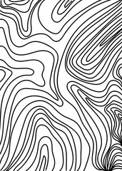 Black Graphic Lines Abstracts Topography Background 