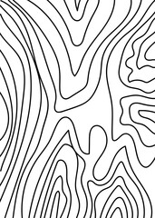 Obraz premium Black Graphic Lines Abstracts Topography Background 