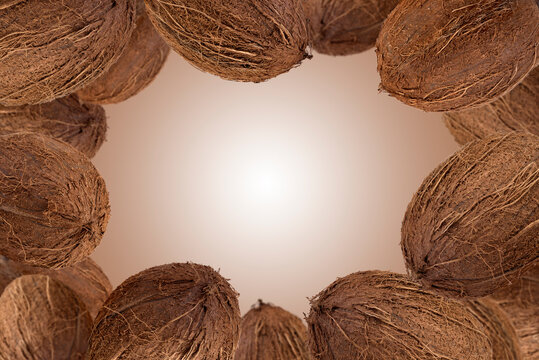 Frame of flying whole coconuts on brown background.