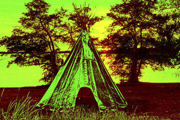 Tippi © helmut Schmidt