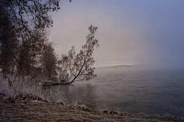 An early morning, when the temperature has dropped to minus 10 degrees and the fog is drifting over...