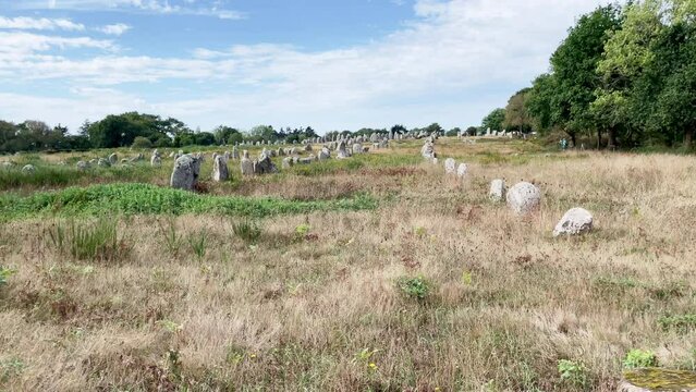 Standing Stones of Carnac in Rows on Grassland in Brittany of France