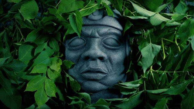 Ancient Stone Head Revealed Man Pulls Back Jungle Plants