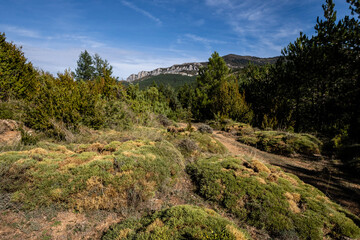 Fototapeta na wymiar Sierra de Santo Domingo protected landscape, Biel, Cinco Villas, Aragon, Spain
