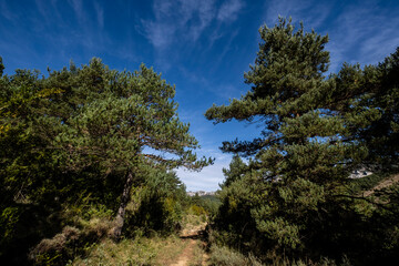 path in the mountain, Sierra de Santo Domingo protected landscape, Biel, Cinco Villas, Aragon, Spain