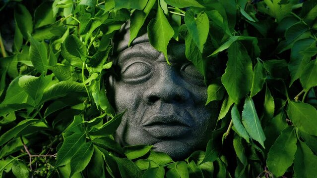 Overgrown Stone Head In The Jungle