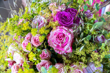 Rose buds of different pink shades