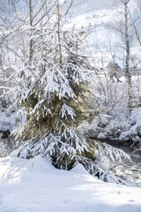 Snow mountains landscape