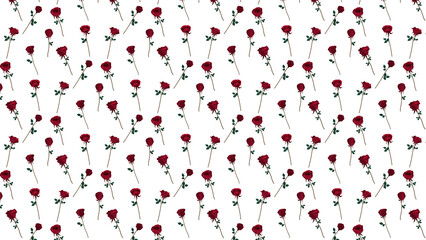 Beautiful Romance Red Single Rose on Transparent pattern for Valentine love season vector illustration. 04