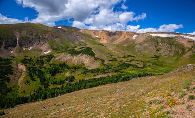 Fototapeta na wymiar Brilliant Green Alpine Ridge from the Old Fall River Road, Rocky Mountain National Park, Colorado