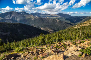 Fototapeta na wymiar Afternoon Light of the Vistas of Rocky Mountain National Park, Colorado