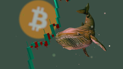 Bitcoin's third largest wallet whale changed hands. Whale btc on crypto exchanges.