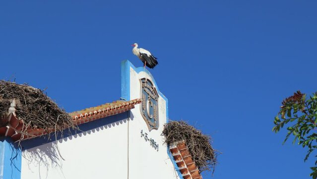 Stork sitting on top of Comporta town signage in Portugal
