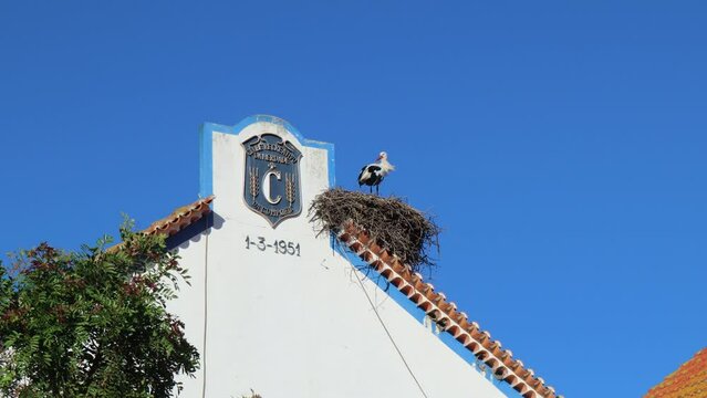Stork sitting in nest on top of building in Comporta, Portugal