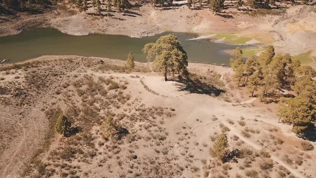 Aerial shot in distance of the famous Cassandra tree on a sunny day and where you can see the grove of the place. Located in the Las Ni&ntilde;as water dam in Tejeda, Gran Canaria.
