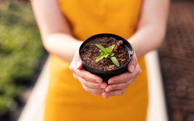 Crop gardener with potted sprout