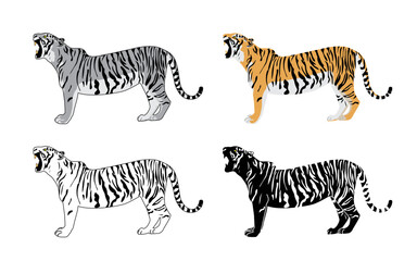 Fototapeta na wymiar Set of realistic tigers in different poses. Animals. Big cats. Predatory mammals.