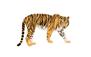 Vector tiger  illustration. Simple design of tiger silhouette, Animals. Big cats. Predatory mammals.