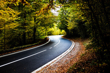 Fototapeta premium Winding road in autumn