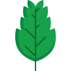 Leaf Flat Design
