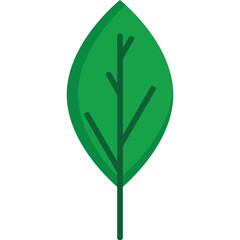 Leaf Flat Design