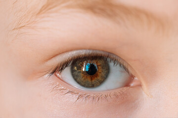 Fototapeta na wymiar Green-brown eye of a boy close-up.