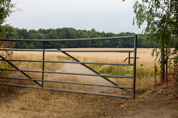 steel gate across entrance to farmers cornfield - stock photo