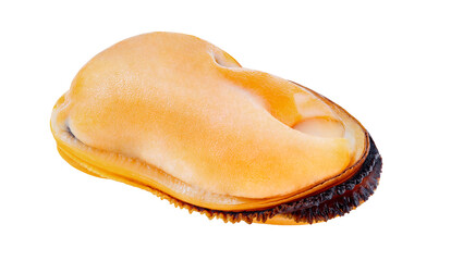 Mussel meat, one piece,  cooked boiled isolated on white background with clipping path.