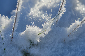 Ein kalter Wintermorgen mit Raureif	
