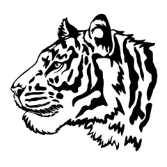 Tiger portrait head isolated on white background. Template. Illustration. Close-up. Clip art. Hand Painting. Ink. Vector.  Black and white. laser cut, papercut, silhouette stencil cameo cricut