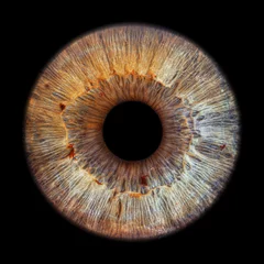 Keuken spatwand met foto Brown eye iris - human eye © Aylin Art Studio
