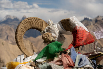 A fawn with prayer flags in the Himalayas. A moonscape of rocky mountains.