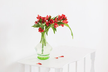 red alstroemeria in vintage glass vase on white background