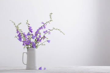 bluebell flowers in white jug on white background