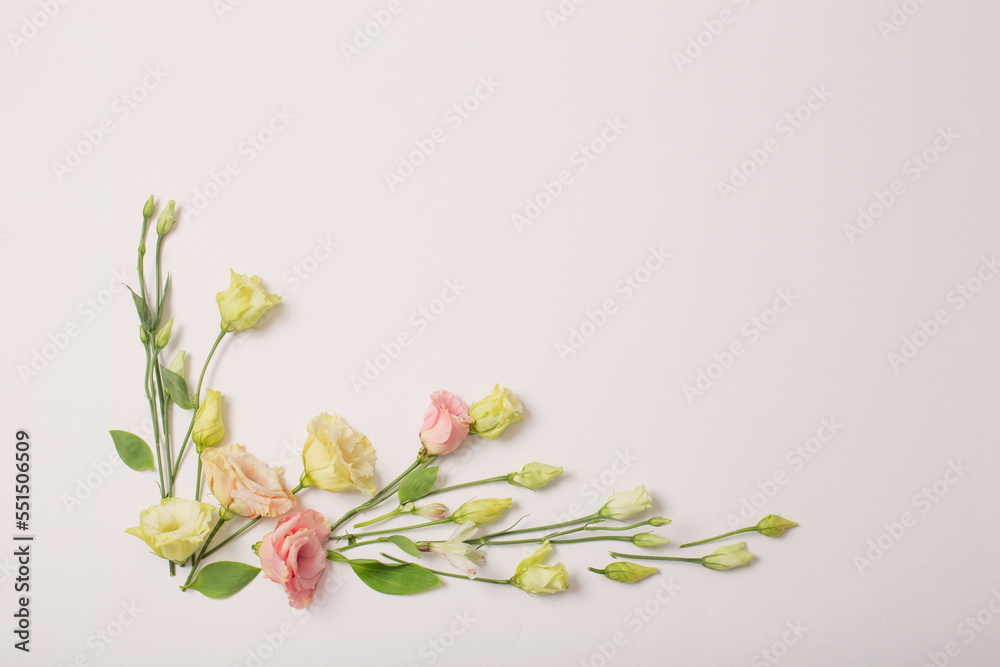 Wall mural spring beautiful flowers on white background