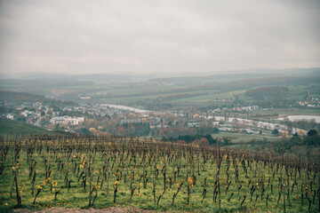 Fototapeta na wymiar View over the Moselle valley of Luxembourg