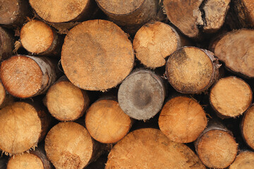 Stack of chopped firewood as background, closeup