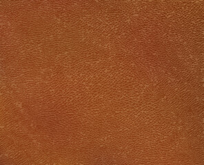 Realistic camel colored leather surface. Vector eps10 background with brown aged texture. 