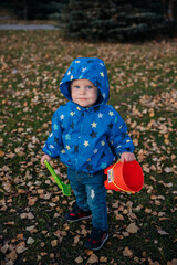 A cute little boy with a bucket and a spatula stands on a green lawn among the yellow fallen autumn leaves.
