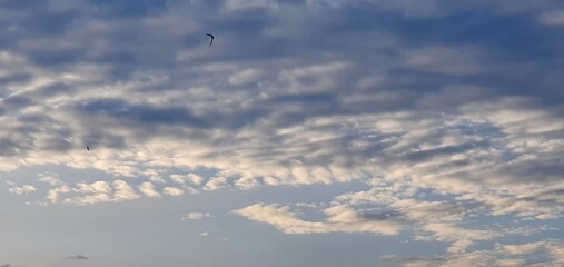 sky of curitiba Brazil birds