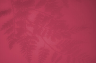Fototapeta na wymiar Beautiful shadow from tropical palm leaf, concept color of the year 2023.