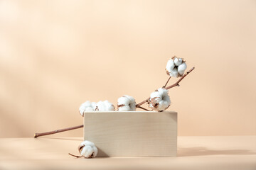 Wooden cube podium with branch of cotton on light beige background. Minimal wooden stand for...