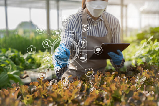 Agricultural Technology Farmer Man Using Tablet Computer Analyzing Data And Morning Image Icon.