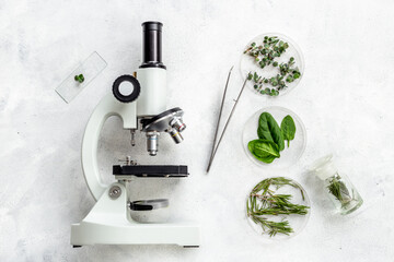 Plants quality research with microscope in microbialogical labaratory