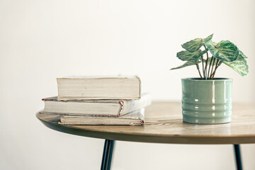 A stack of books and a houseplant in a pot on a blurred background.