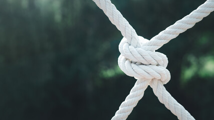 rope tied in a knot for adventure with green nature background. harmonious and stably concept.