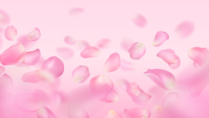 Vector wallpaper of realistic rose petals. Close-up. Template of flying voluminous blurred pink sakura petal with blur effect. Spring floral illustration for background, banner, romantic greeting card