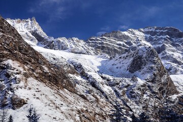 雪を纏った四川省 四姑娘山自然保護区